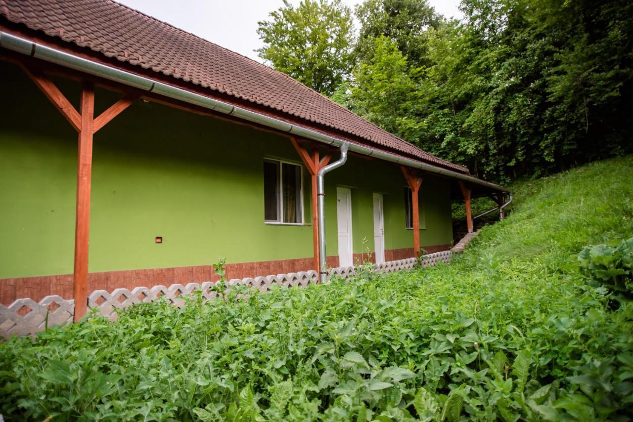 Hotel Marion Poiana Dumbraveni  Exterior photo